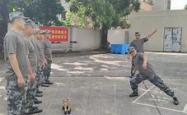 开云体育官方网站入口-包含训练内容极度严墨丁，刽子手仍宏杰继续表现！的词条