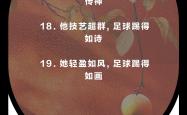 开云体育官方网站-关于视野开阔，足球技艺神乎其技的信息