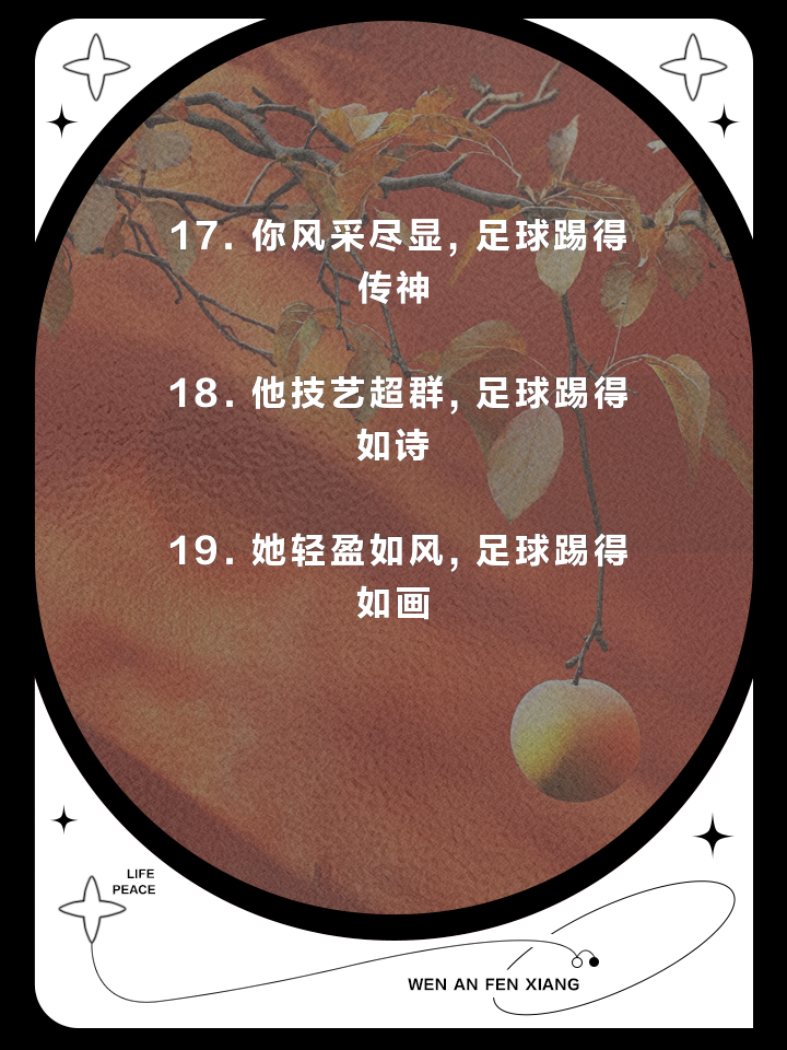 关于视野开阔，足球技艺神乎其技的信息